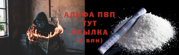 дживик Бородино