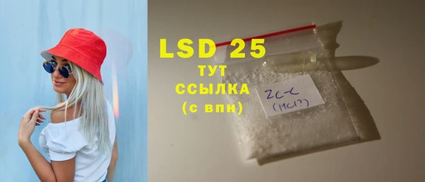 дживик Бородино