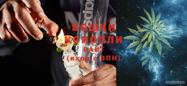 дживик Бородино